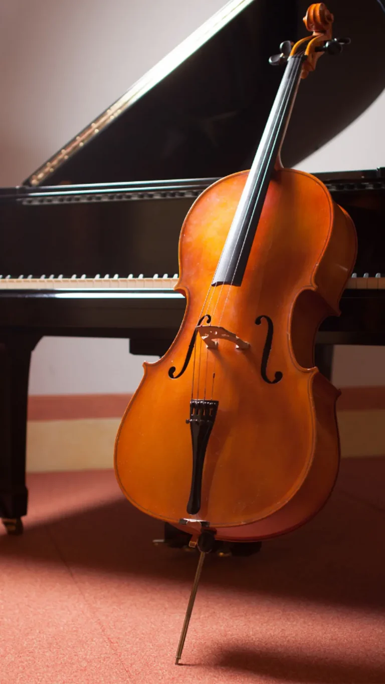 violin
